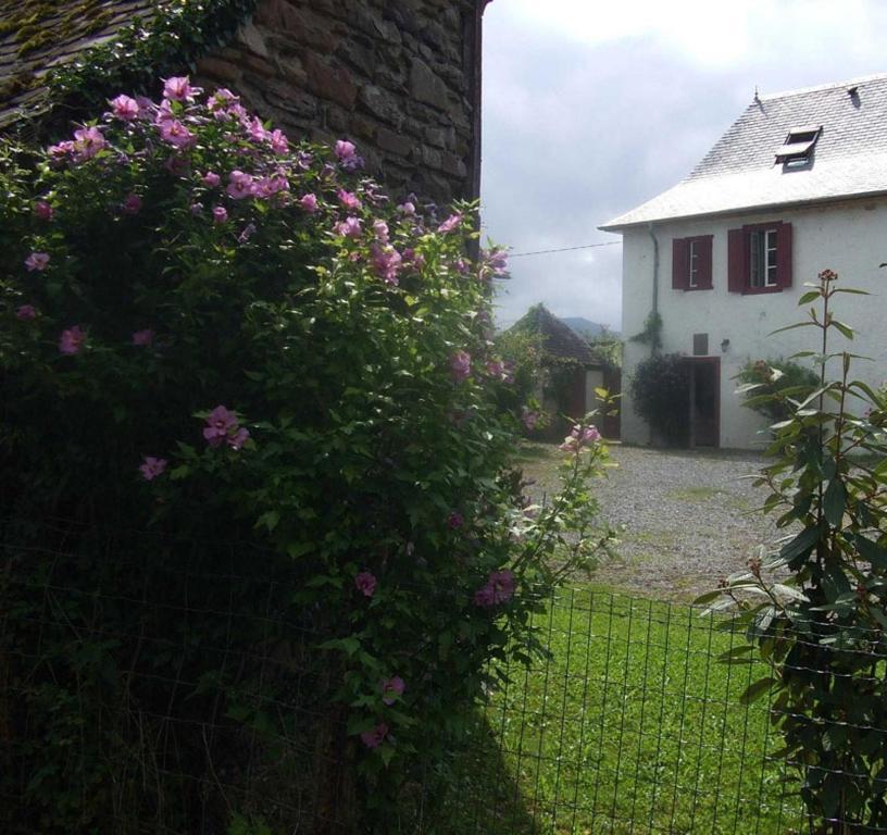 Chambres D'Hotes Maison Paillet Montory Zewnętrze zdjęcie